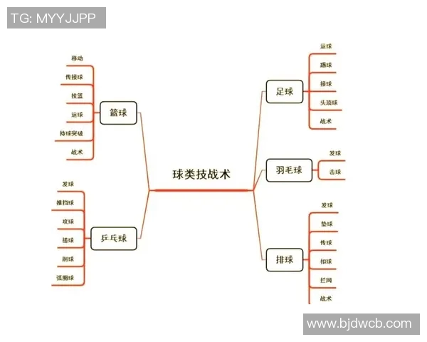 上海排球队快攻战术解析与实践探讨