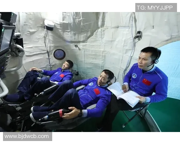 专访吴娜揭秘排球成功秘诀与背后故事的深度解析